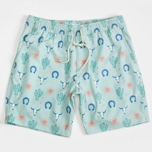 Blue Crown Desert Dweller Men's Boardshorts NWT Large